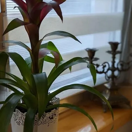 Private Gemuetliche Einliegerwohnung *