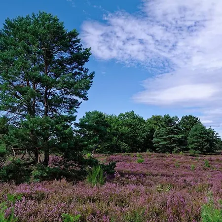 Private Gemuetliche Einliegerwohnung Apartment Enkenbach-Alsenborn
