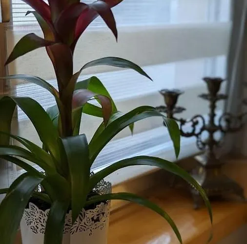 Private Gemuetliche Einliegerwohnung *