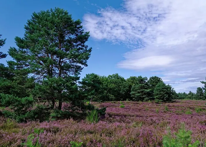 Private Gemuetliche Einliegerwohnung 公寓 Enkenbach-Alsenborn